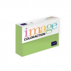 Image Coloraction A4 80g 500l nr.67 laimi