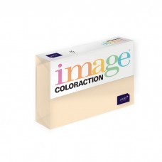 Image coloraction A4 80g,500l nr 13  cream